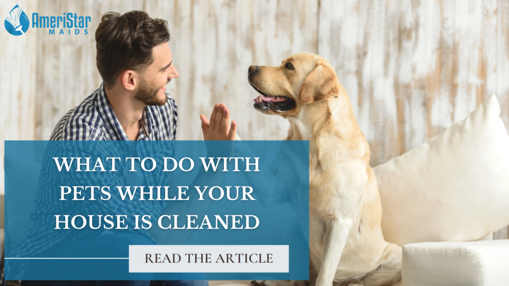Keeping Your House Clean with Dogs