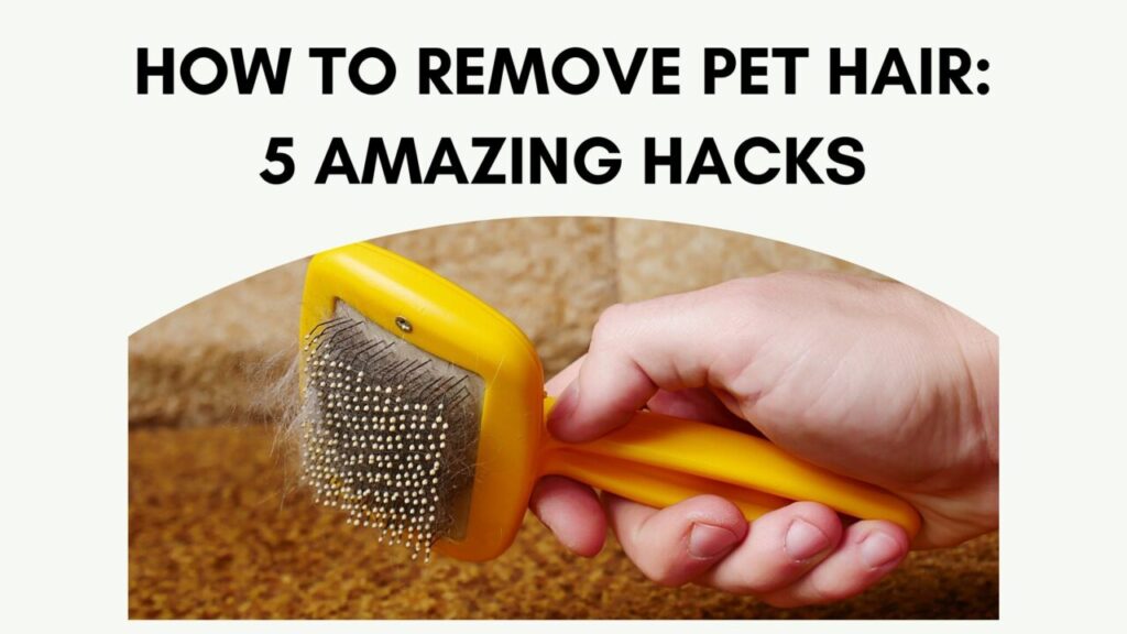 How To Remove Pet Hair: 5 Amazing Hacks