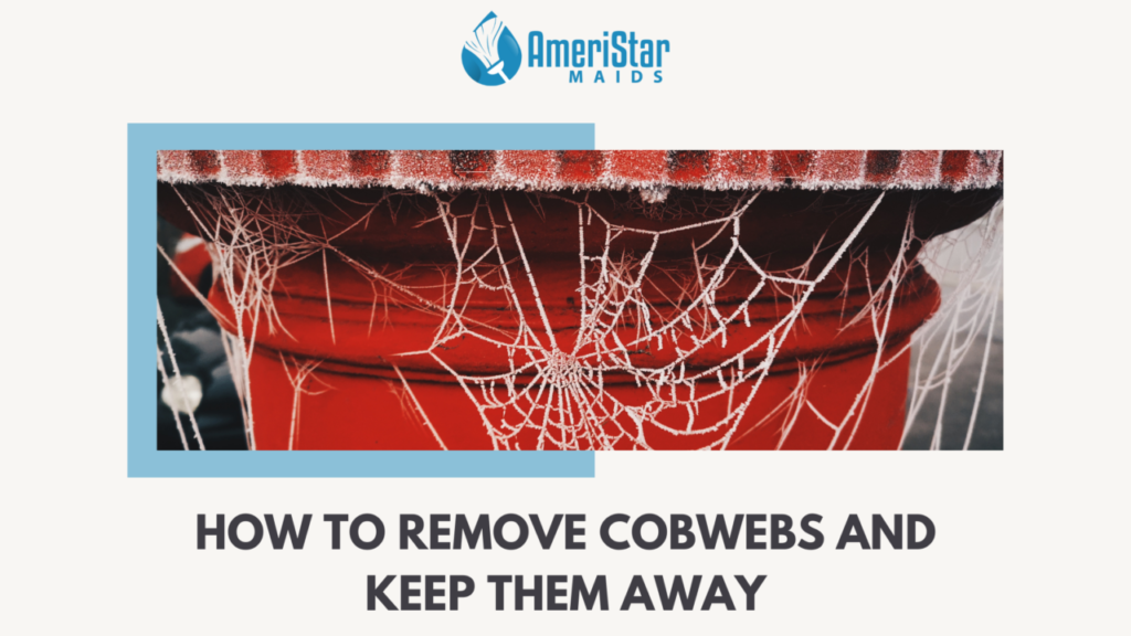 How to Remove Cobwebs and Keep Them Away