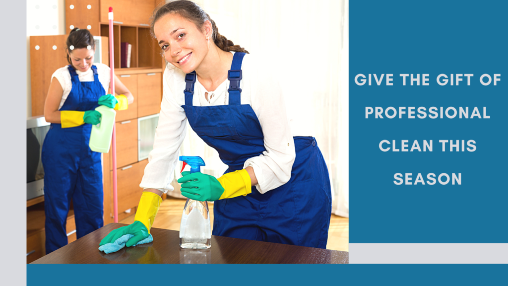 Professional Maid Service House Cleaning