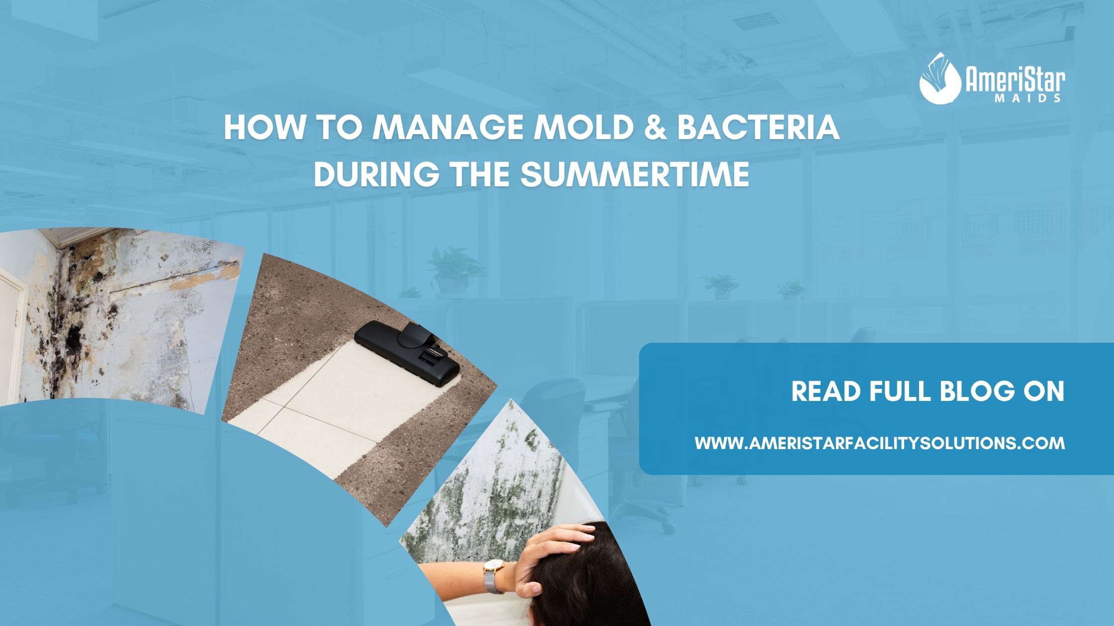 Preventing Indoor Mold During the Summer Months