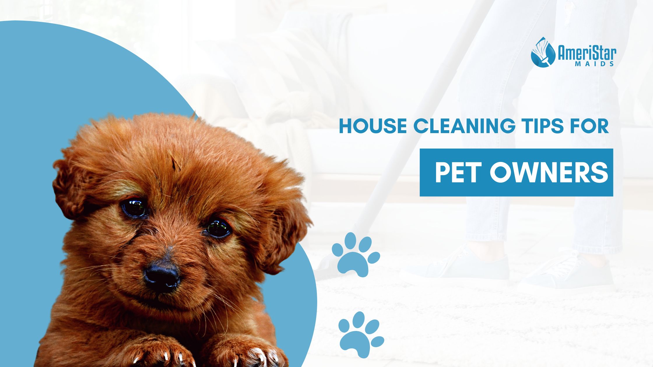 House Cleaning Tips for Pet Owners