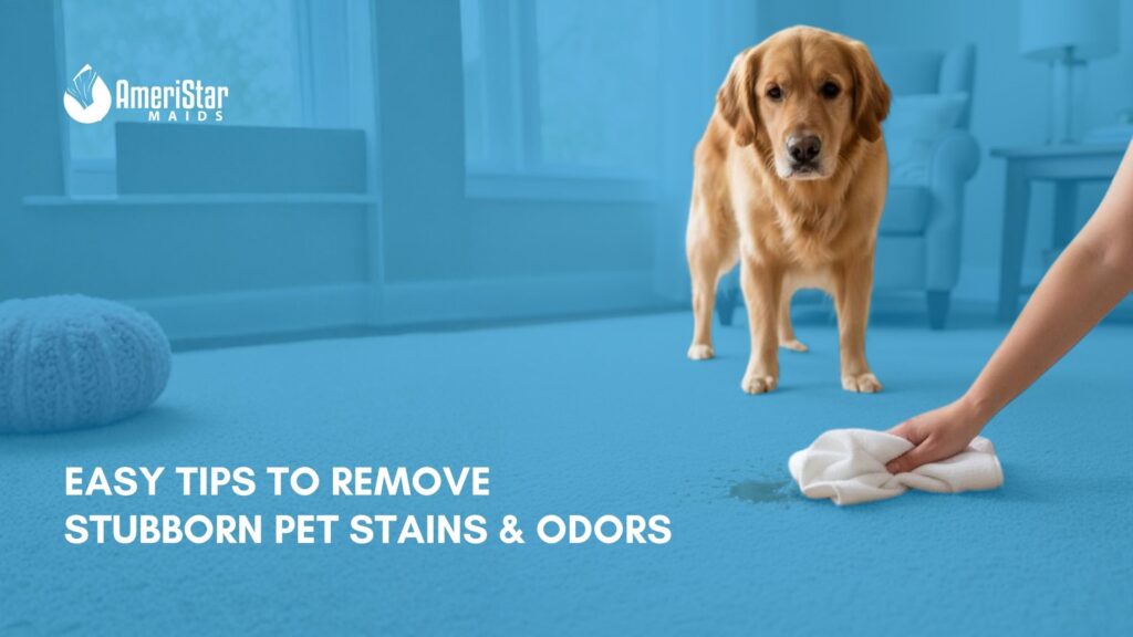 Easy tips to remove stubborn pet stains and odors