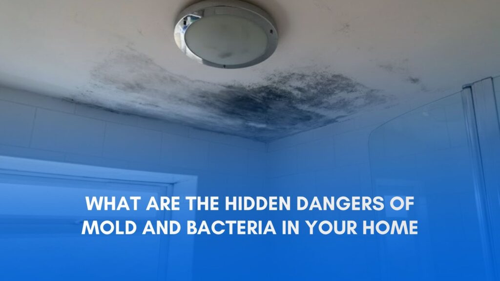 The Hidden Dangers of Mold and Bacteria in Your Home